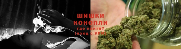 метадон Богданович