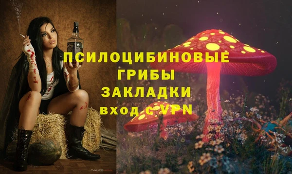 метадон Богданович