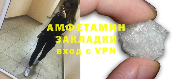 метадон Богданович