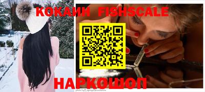 a pvp Камышлов