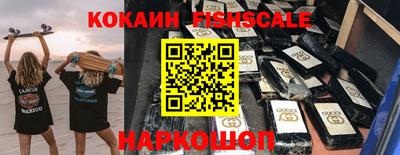 a pvp Камышлов
