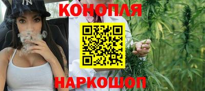 гашик Канаш