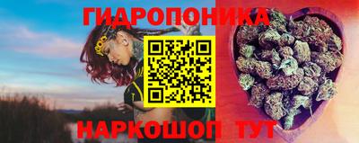a pvp Камышлов
