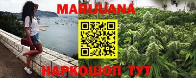 гашик Кандалакша