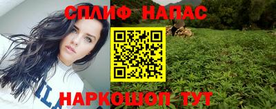 a pvp Камышлов