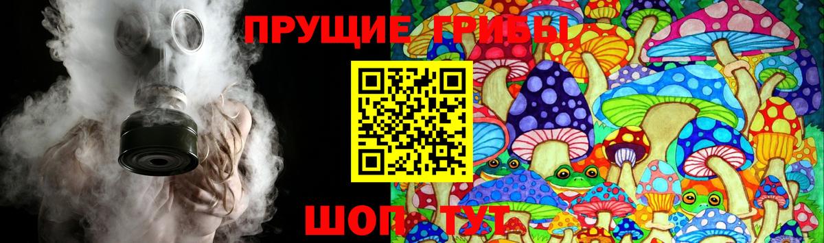 Минеральные Воды  как найти закладки  Вход с VPN  Псилоцибиновые грибы Psilocybe 